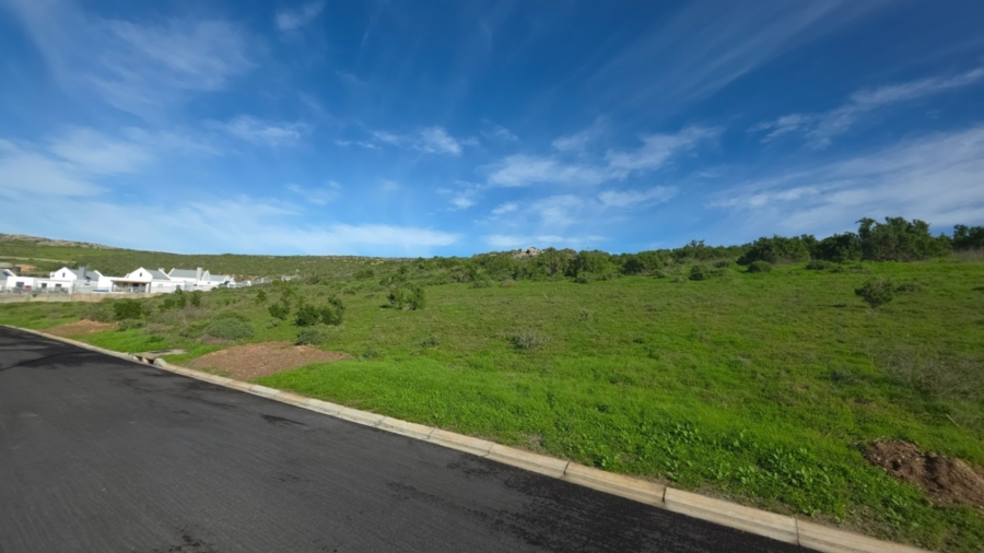 0 Bedroom Property for Sale in Welgedaan Estate Western Cape